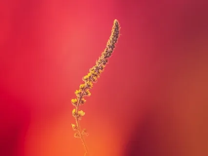 Freeing Yourself From Negative Thoughts & Feelings