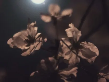 Frequencies For Opening The Third Eye (288Hz)