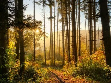 Frequencies Of Serenity With 174 Hz