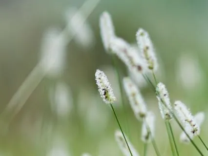 Frequency For All Night Sleep And Nervous System Repair