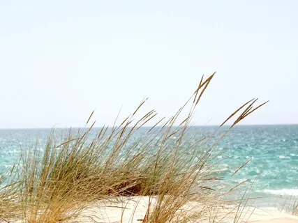 Frequency Of Abundance & Prosperity 777Hz