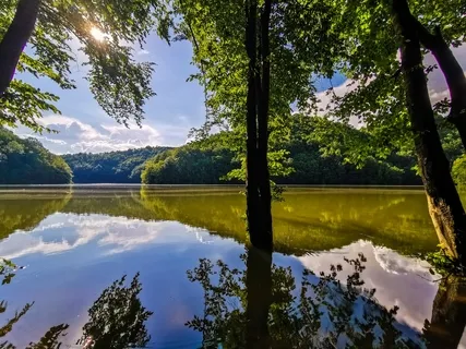 Frequency Of Calm With Light Language 