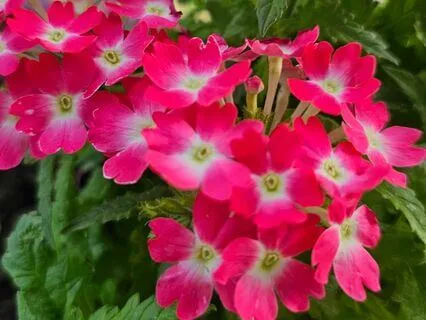 Frequency Of Love, You Are Love