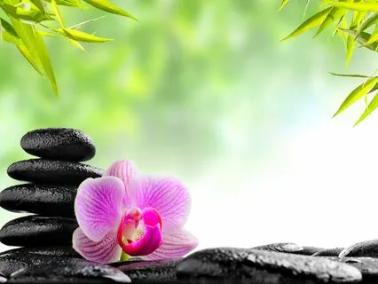 Frequency Upgrade Meditation