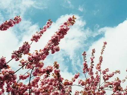 Fresh Air Blowing Through: Energy Clearing Meditation