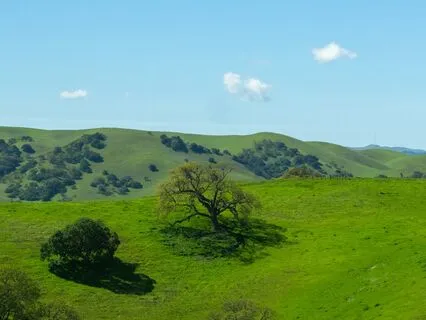 Fresh, Focused, & Fulfilled: Heart-Centered Morning