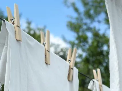 Fresh Linen In The Wind