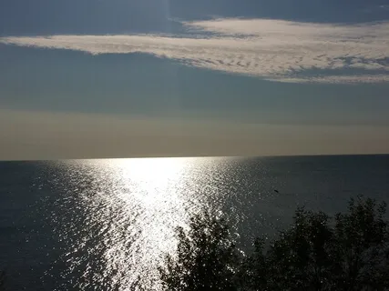 Fresh, Solid, Calm, Free