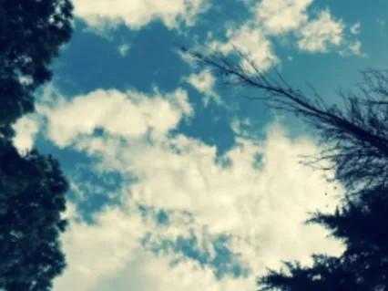 Fresh Start Practice