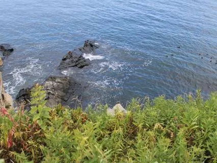 Freya Eclipse Meditation: The Fate Thread Journey