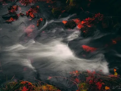 Friday Bloody Friday