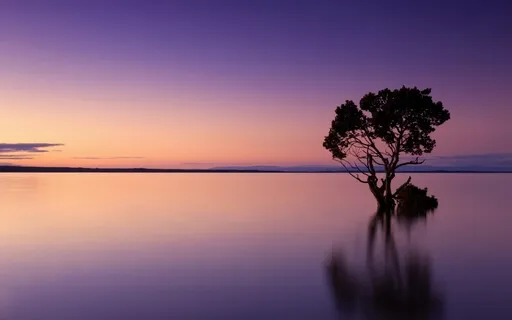 Friday Morning Prayer 1/14