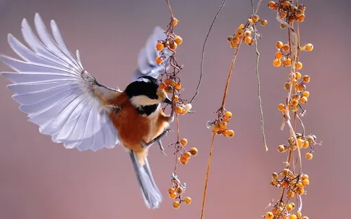 Friday Morning Prayer 2/11