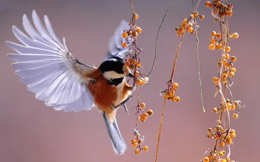 Friday Morning Prayer 2/4