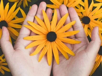 Frieden Mit Deinem Körper Schließen