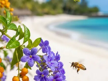 Friendly Friday Reminder