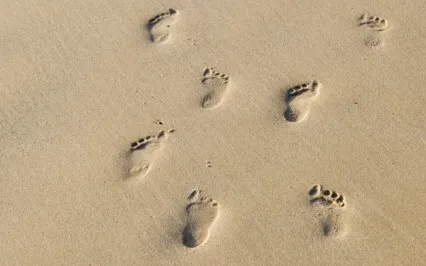 Friends Leave Footprints In Your Heart Morning Meditation