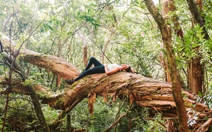 Friendship Meditation