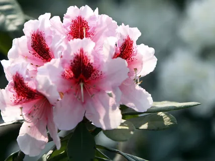 Reconnect With Your Soul