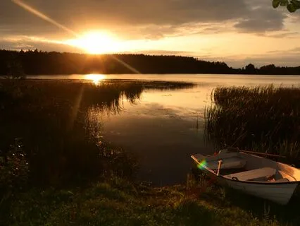 Frihet Från Prestationskrav