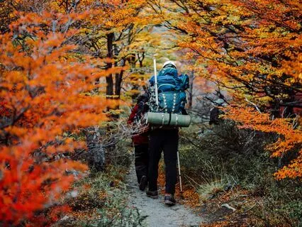 Frizzing Rain Steady, Winter Rain Atmosphere