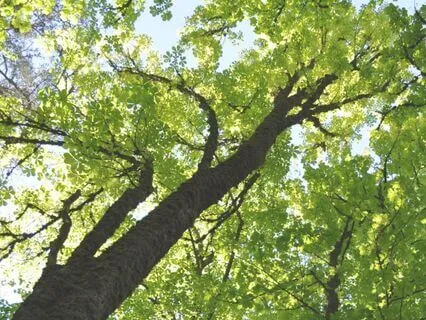 From 10 To 1: Deep Relaxation Made Easy