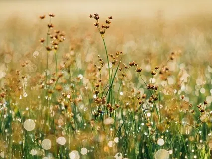 From 3rd To 5th Dimension, The Awakening Of Humanity