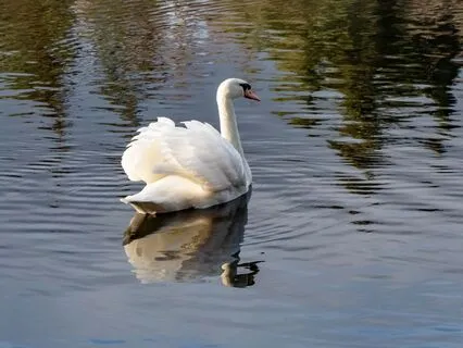 From Anxiety To Clarity