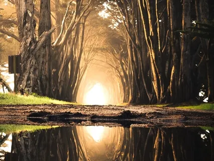 From Anxiety To Sanctuary