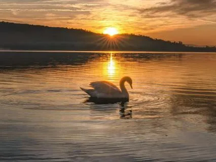 From Autopilot To Intention