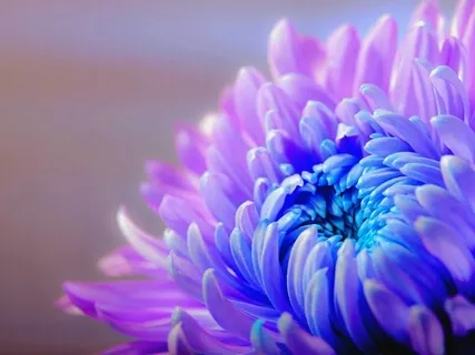 From Blame To Optimism