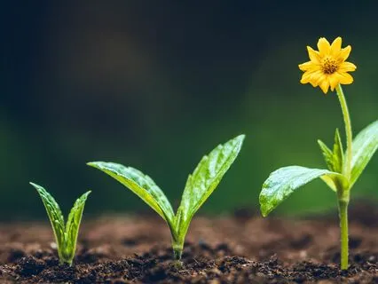 From Burnout To Blossom For Women Leaders