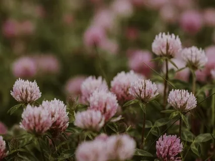 From Busy Mind To Grounded Heart