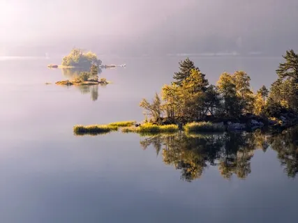 From Busy Mind To Stillness