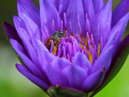 From Buzz To Being: A Gentle Reset When You’re Wired