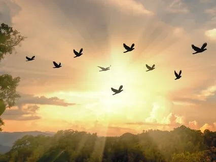 From Chains To Freedom: A Poem On Self-Discipline