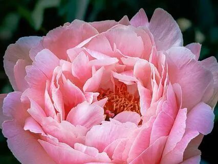 From Chaos To Confidence: Meditation For Every Mom