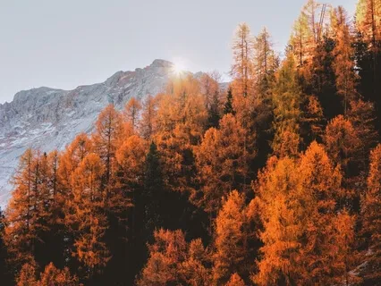 From Death To Life: An Autumn Meditation