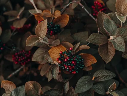 From Discouragement To Hopeful