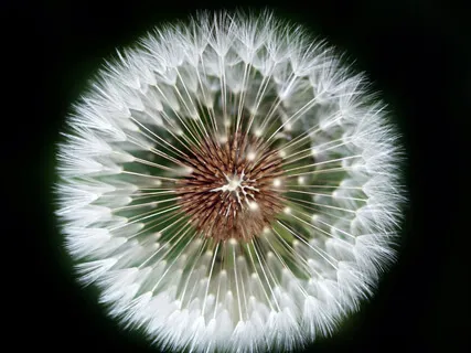 From Doing To Being - Mindfulness Of Breathing Practice