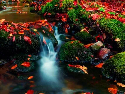 From Doubt to Power – 888 Hz Self-Worth Shift