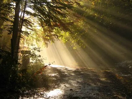 From Ego To Enlightenment - A Journey Within