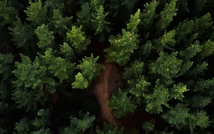 From Ego To Soul: A Shamanic Journey 