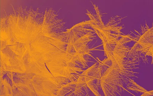 From External Outcomes To Internal Gratification Talk