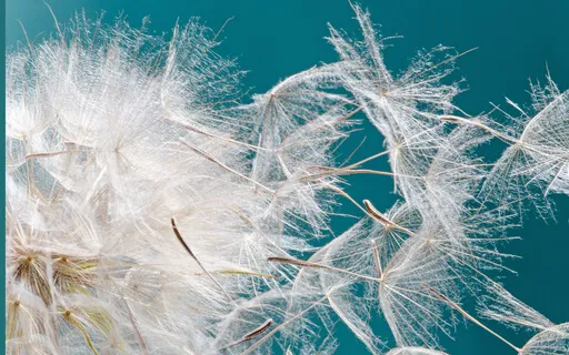 From External Outcomes To Internal Gratification