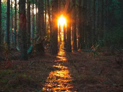 From Fear To Flow: Aligned Abundance In Action (EFT Tapping)
