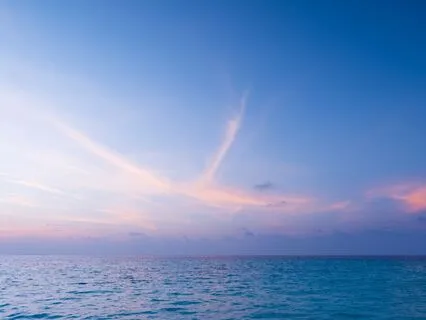 From Fear To Freedom: Reclaim Your Confidence