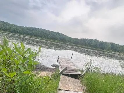 From Fear To Freedom: Remember Self