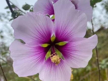 From Fixing To Loving Your Pain: A Self-Compassion Practice