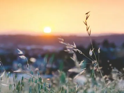 From Foggy To Focused: 5 Minutes To Ignite Your Energy